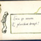 Card with drawings and quote in Latin and Gaelic