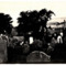 Photograph of a cemetery 