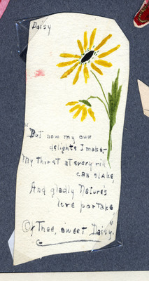Drawing of a daisy with handwritten poem