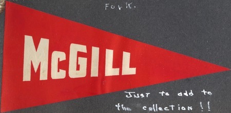 McGill flag