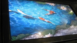 Virtual Fish Pond