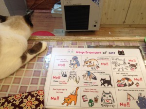 Rules of the cat cafe.