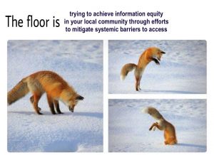 "the floor is trying to achieve information equity in your local community through efforts to mitigate systemic barriers to access"