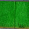 Green piece of leather with â€œsenior promâ€ on it